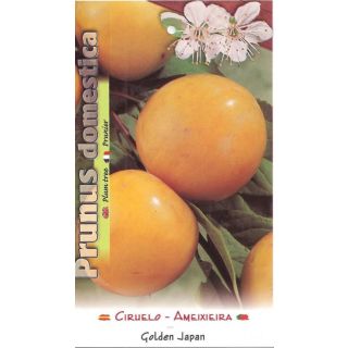 Compra CIRUELO GOLDEN JAPAN en la tienda online Fito Agrícola