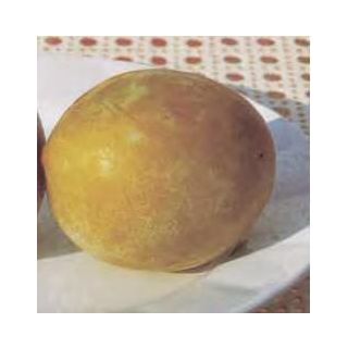 Compra CIRUELO SONGOLD en la tienda online Fito Agrícola