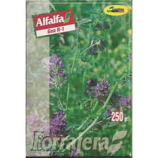Compra ALFALFA GEA R-1 Inoculada (250 gr.). en la tienda online Fito Agrícola