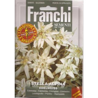 Compra ESTELLA EDELWEISS ALPINA (0,3 gr.). en la tienda online Fito Agrícola