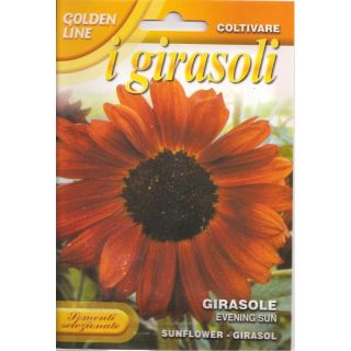 Compra GIRASOL EVENING SUN (3 gr.). en la tienda online Fito Agrícola
