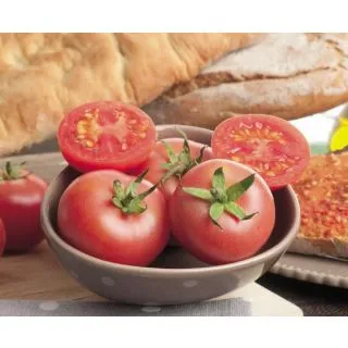 Compra TOMATE PALAMOS F-1 (1.000 Semillas) en la tienda online Fito Agrícola