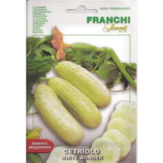 Compra PEPINILLO WHITE WONDER (3 gr.). en la tienda online Fito Agrícola