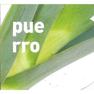 Compra PUERRO MB25 en la tienda online Fito Agrícola