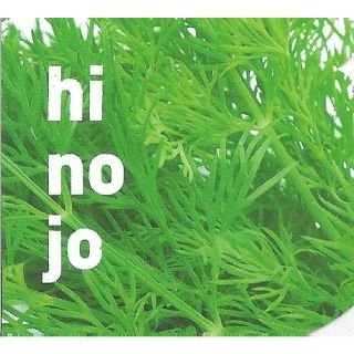 Compra HINOJO MS6 en la tienda online Fito Agrícola