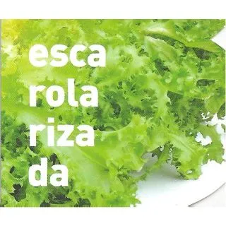 Compra ESCAROLA RIZADA MS12 en la tienda online Fito Agrícola