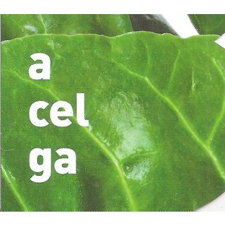 Compra ACELGA MS6 en la tienda online Fito Agrícola