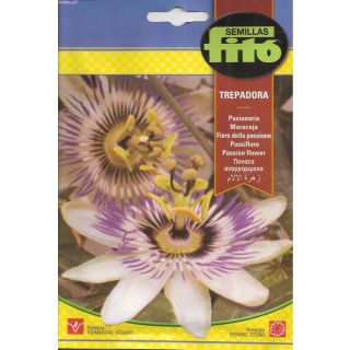 Compra PASIONARIA TREPADORA (0,5 gr.). en la tienda online Fito Agrícola