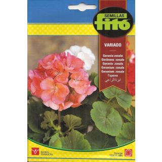 Compra GERANIO ZONALE VARIADO (0,3 gr.). en la tienda online Fito Agrícola