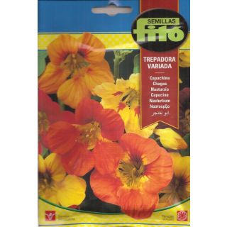 Compra CAPUCHINA TREPADORA VARIADA (10 gr.). en la tienda online Fito Agrícola