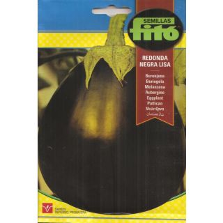 Compra BERENJENA REDONDA DE VALENCE (4 gr. - Cerca de 1.000 Semillas) en la tienda online Fito Agrícola
