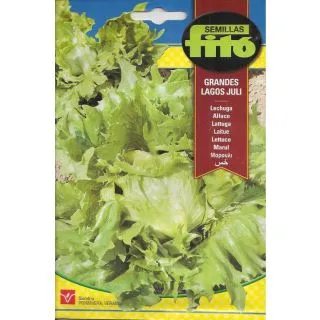 Compra LECHUGA GRANDES LAGOS JULI (6 gr.). en la tienda online Fito Agrícola