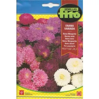 Compra REINA MARGARITA ENANA VARIADA (2 gr.). en la tienda online Fito Agrícola
