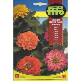 Compra ZINNIA GIGANTE FLOR DE DALIA VARIADA (4 gr.). en la tienda online Fito Agrícola
