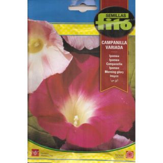 Compra IPOMEA CAMPANILLA VARIADA (8 gr.). en la tienda online Fito Agrícola