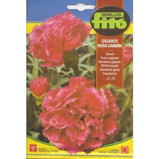 Compra CLAVEL GIGANTE ROSA CARMIN (0,8 gr.). en la tienda online Fito Agrícola
