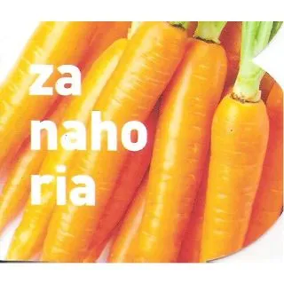 Compra ZANAHORIA MS12 en la tienda online Fito Agrícola