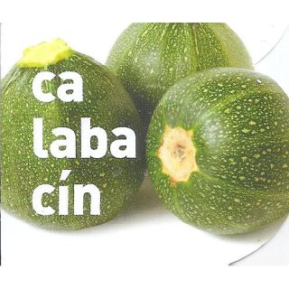 Compra CALABACÍN REDONDO MS6 en la tienda online Fito Agrícola