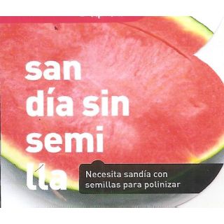 Compra SANDÍA NEGRA SIN SEMILLAS (Injertada) MS4 en la tienda online Fito Agrícola