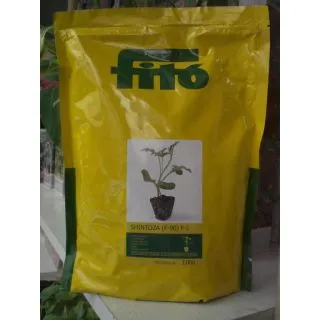 Compra CALABAZA SHINTOZA F-90 F1 (2.500 Semillas) en la tienda online Fito Agrícola