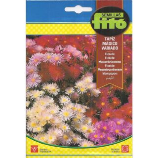 Compra FICOIDE TAPIZ MAGICO VARIADO (2 gr.). en la tienda online Fito Agrícola