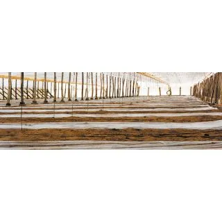 Compra SOTRAFILM NT (100 gg) - ANCHO 1 METRO en la tienda online Fito Agrícola