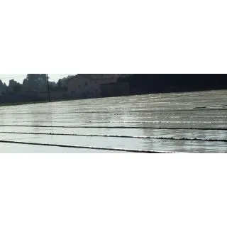 Compra DESINFECCIÓN ECO PLUS (110 gg) ANCHO 2,00 METROS en la tienda online Fito Agrícola