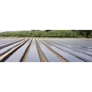 Compra SOTRAFILM NG (100 gg) - ANCHO 1,30 METROS en la tienda online Fito Agrícola