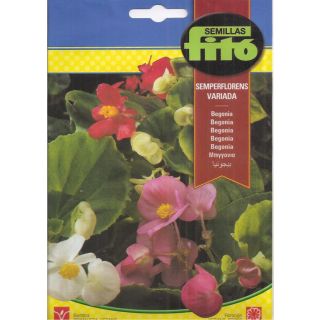 Compra BEGONIA SEMPERFLORENS VARIADA (0,08 gr.). en la tienda online Fito Agrícola