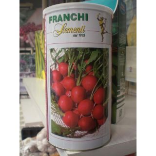 Compra RABANITO SAXA 2 (500 gr.). en la tienda online Fito Agrícola