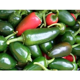 Compra PIMIENTO PICANTE JALAPEÑO M11 en la tienda online Fito Agrícola