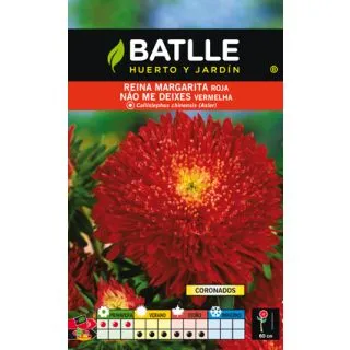 Compra REINA MARGARITA ROJA (450 Semillas) en la tienda online Fito Agrícola