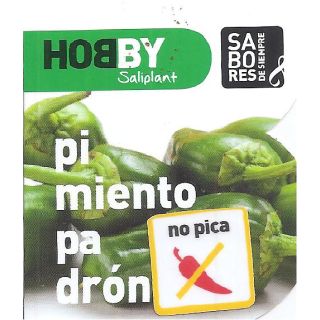Compra PIMIENTO PADRÓN DULCE MS6 en la tienda online Fito Agrícola