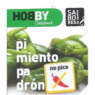 Compra PIMIENTO PADRÓN DULCE MS6 en la tienda online Fito Agrícola