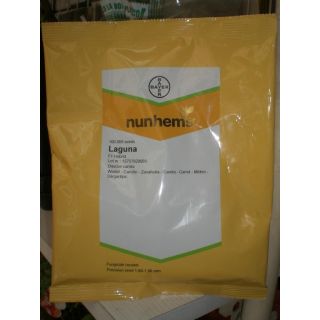 Compra ZANAHORIA LAGUNA F1 Precisión (100.000 Semillas Cal. 1.6 - 1.8) Sin Tratamiento en la tienda online Fito Agrícola