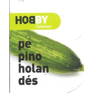 Compra PEPINO HOLANDÉS M11 en la tienda online Fito Agrícola