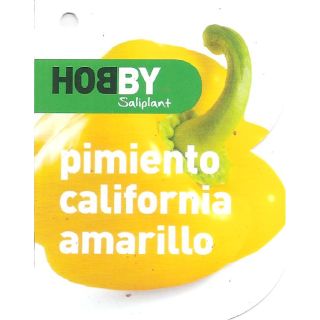 Compra PIMIENTO CALIFORNIA AMARILLO M11 en la tienda online Fito Agrícola