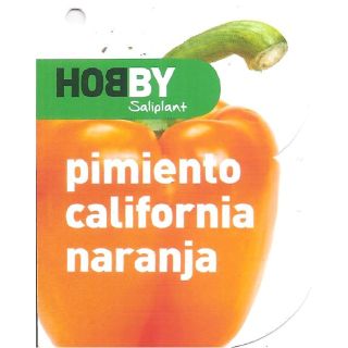 Compra PIMIENTO CALIFORNIA NARANJA M11 en la tienda online Fito Agrícola