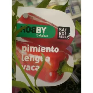 Compra PIMIENTO LENGUA DE VACA MS6 en la tienda online Fito Agrícola