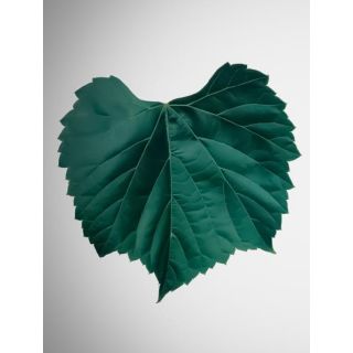 Compra PATRON RUGGERI 140 en la tienda online Fito Agrícola