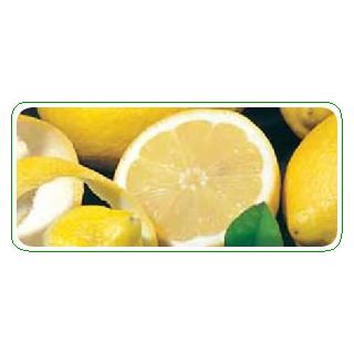Compra LIMONERO VERNA 51 - 17 en la tienda online Fito Agrícola