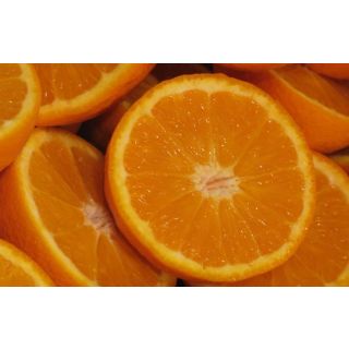 Compra NARANJO SUCREÑA - 17 en la tienda online Fito Agrícola