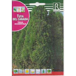 Compra TUYA DEL CANADÁ (0,5 gr.). en la tienda online Fito Agrícola