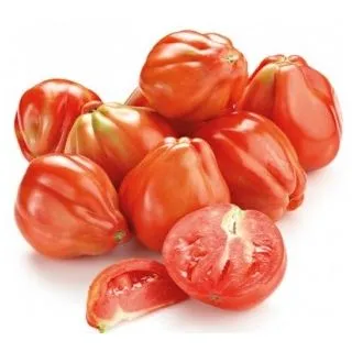 Compra TOMATE CUOR DI BUE MS6 en la tienda online Fito Agrícola