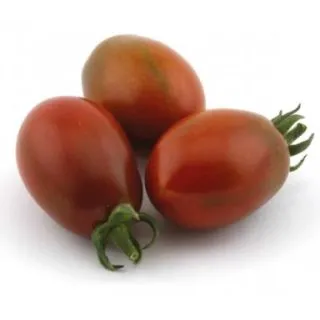 Compra TOMATE MORENITO (Injertado) MS4 en la tienda online Fito Agrícola