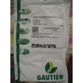 Compra JUDÍA PONGO Sin Tratar (1.000 Semillas). en la tienda online Fito Agrícola