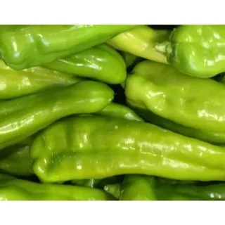 Compra PIMIENTO DULCE ITALIANO EPS247 en la tienda online Fito Agrícola