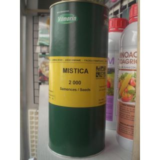 Compra JUDÍA MISTICA (2.000 Semillas) en la tienda online Fito Agrícola