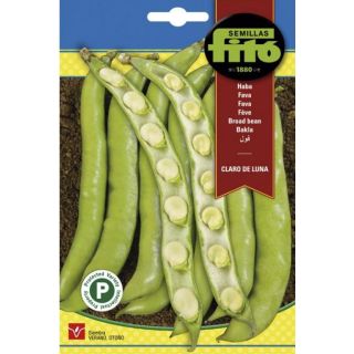 Compra HABA CLARO DE LUNA (25 Semillas). en la tienda online Fito Agrícola