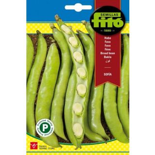 Compra HABA SOFIA (25 Semillas). en la tienda online Fito Agrícola